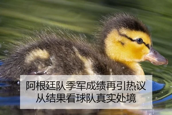 阿根廷队季军成绩再引热议 从结果看球队真实处境